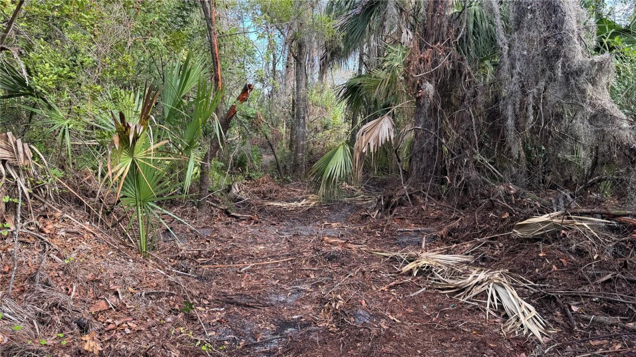 12807 Upper Manatee River Rd, Bradenton, FL 34212 Photo