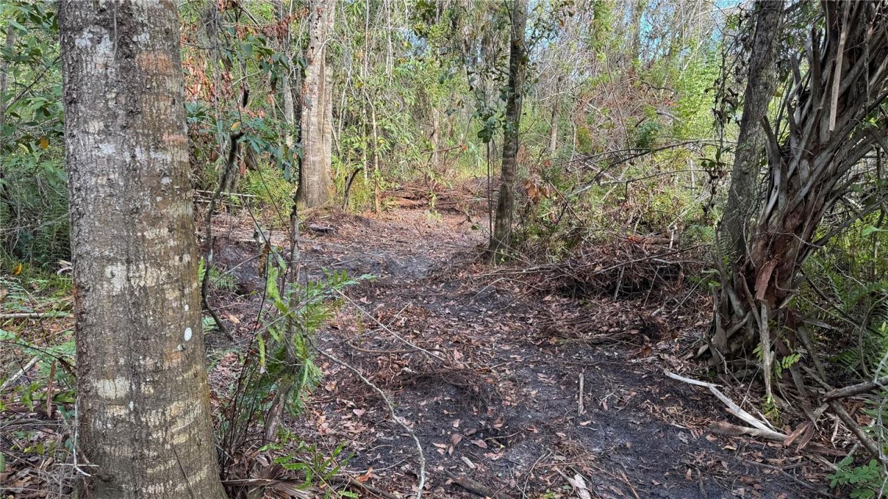 12807 Upper Manatee River Rd, Bradenton, FL 34212 Photo