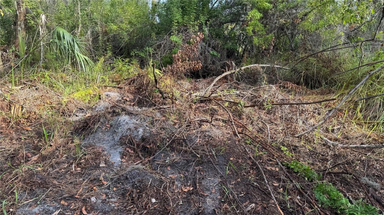 12807 Upper Manatee River Rd, Bradenton, FL 34212 Photo