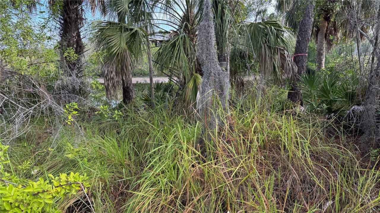 12807 Upper Manatee River Rd, Bradenton, FL 34212 Photo