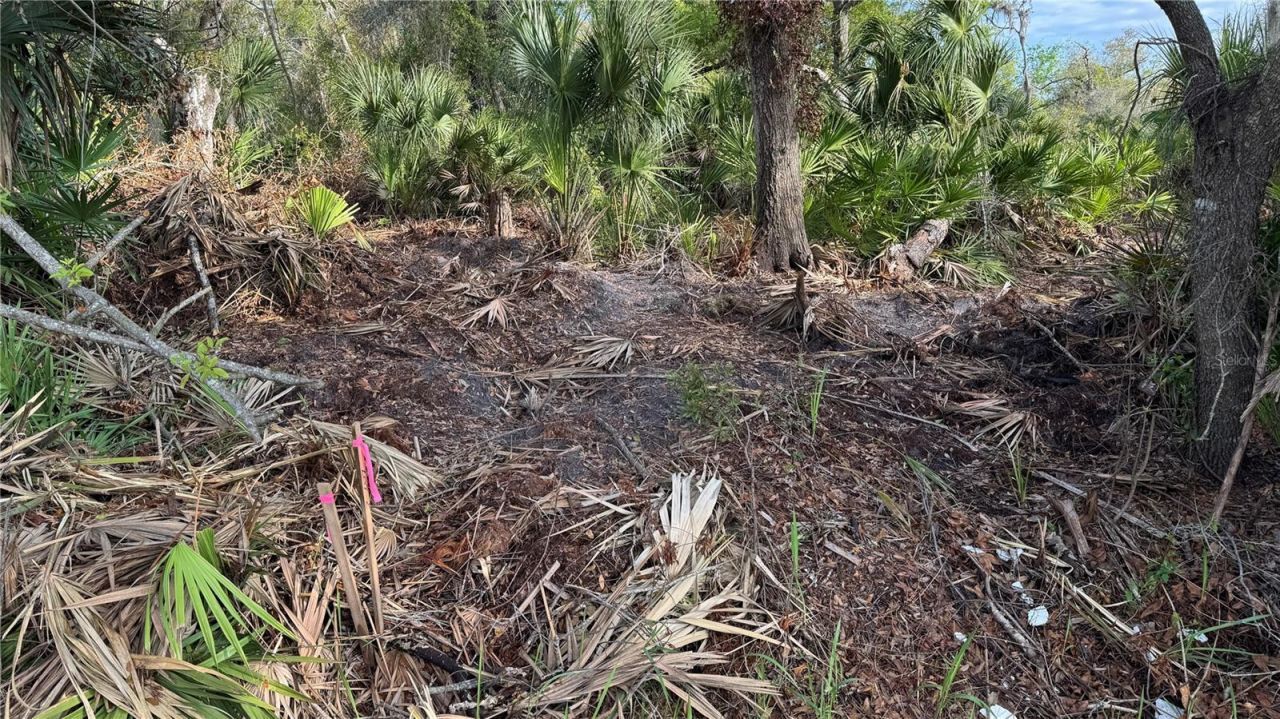 12807 Upper Manatee River Rd, Bradenton, FL 34212 Photo