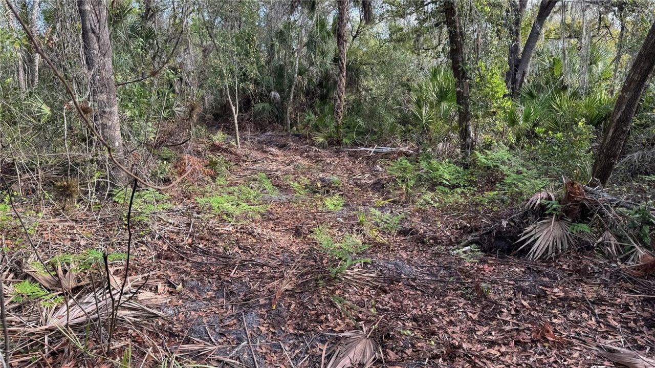 12807 Upper Manatee River Rd, Bradenton, FL 34212 Photo