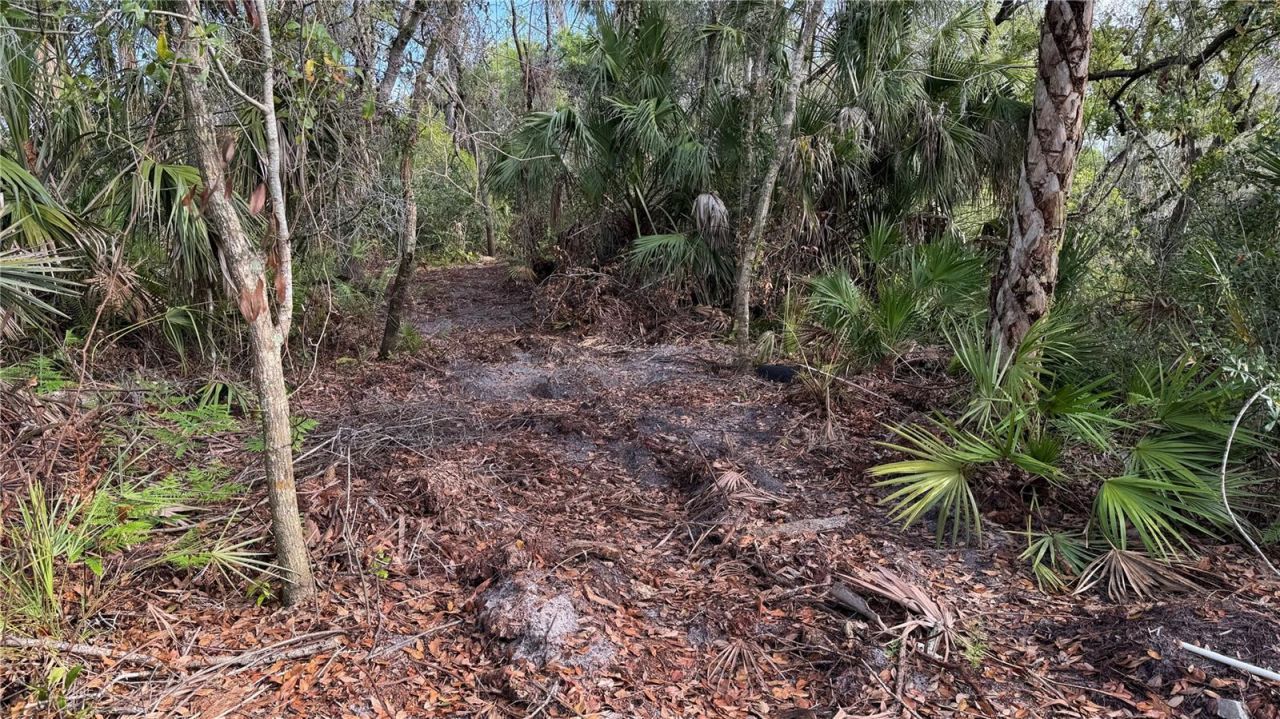 12807 Upper Manatee River Rd, Bradenton, FL 34212 Photo