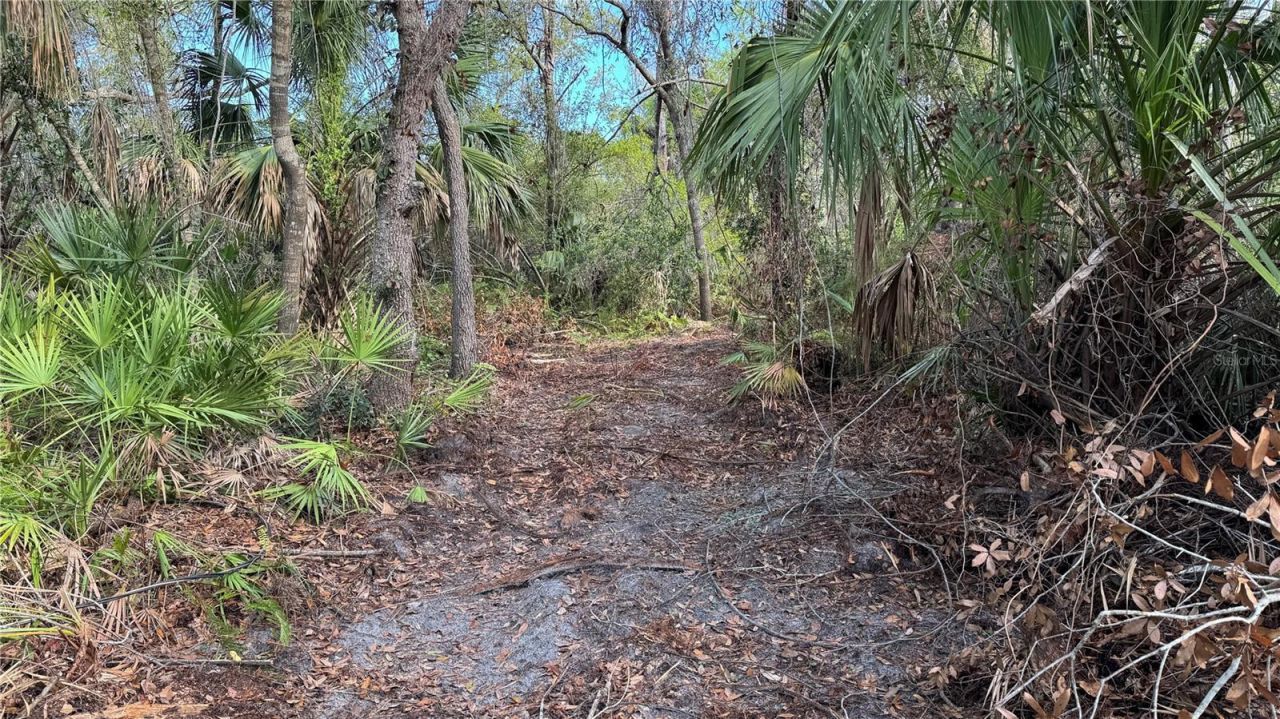 12807 Upper Manatee River Rd, Bradenton, FL 34212 Photo