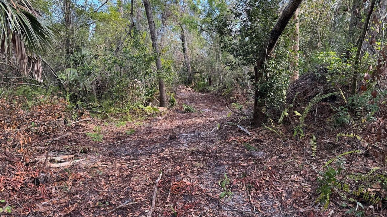 12807 Upper Manatee River Rd, Bradenton, FL 34212 Photo