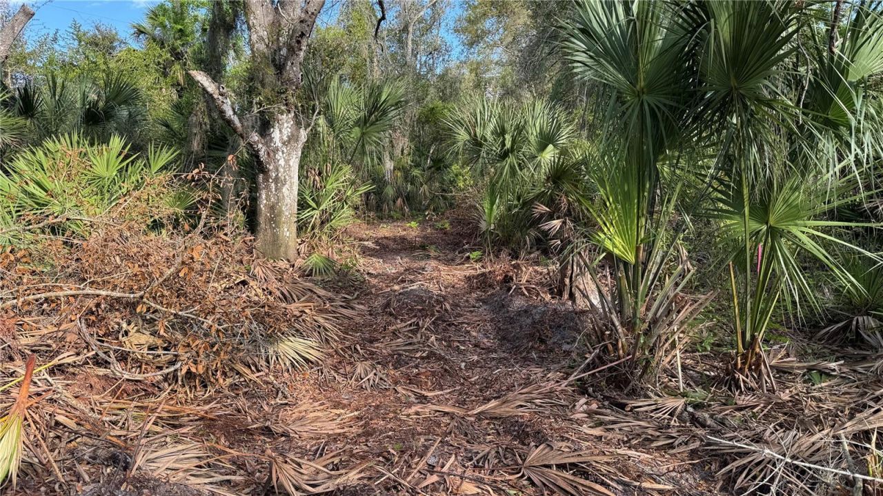 12807 Upper Manatee River Rd, Bradenton, FL 34212 Photo