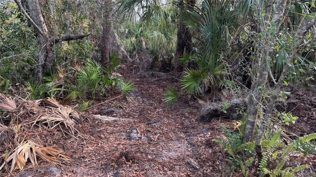 12807 Upper Manatee River Rd, Bradenton, FL 34212 Photo