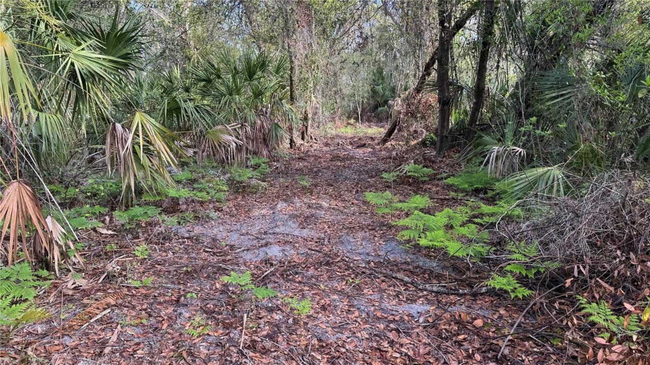 12807 Upper Manatee River Rd, Bradenton, FL 34212 Photo