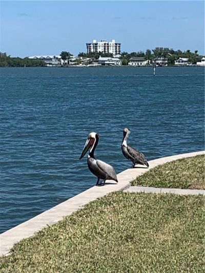507 Carlos Cir, Fort Myers Beach, FL 33931 Photo