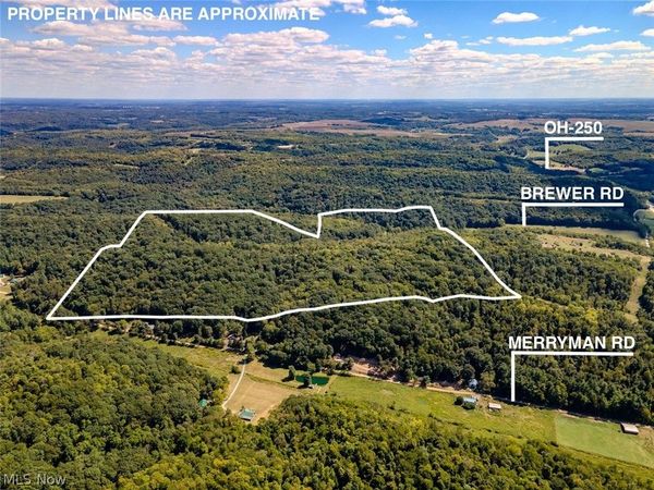 0 Brewer Road, Cadiz, OH 43907