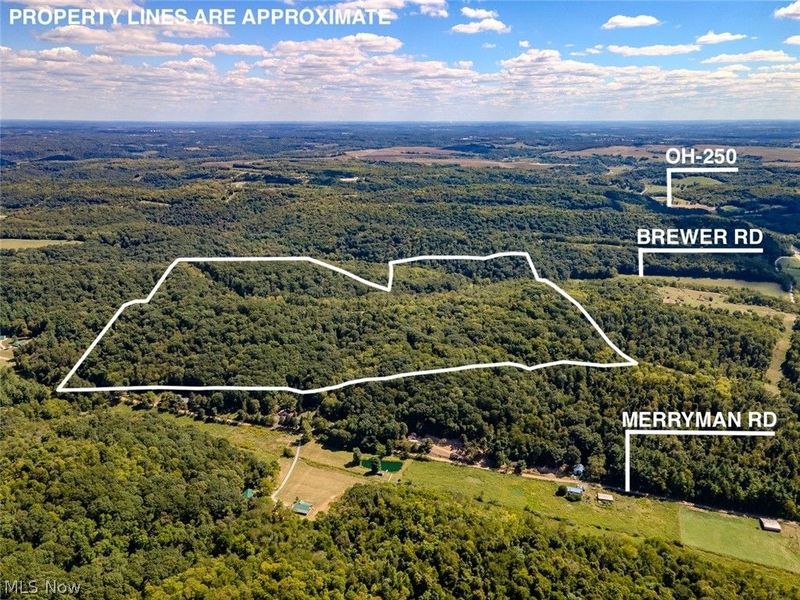 0 Brewer Road, Cadiz, OH 43907 Photo 1