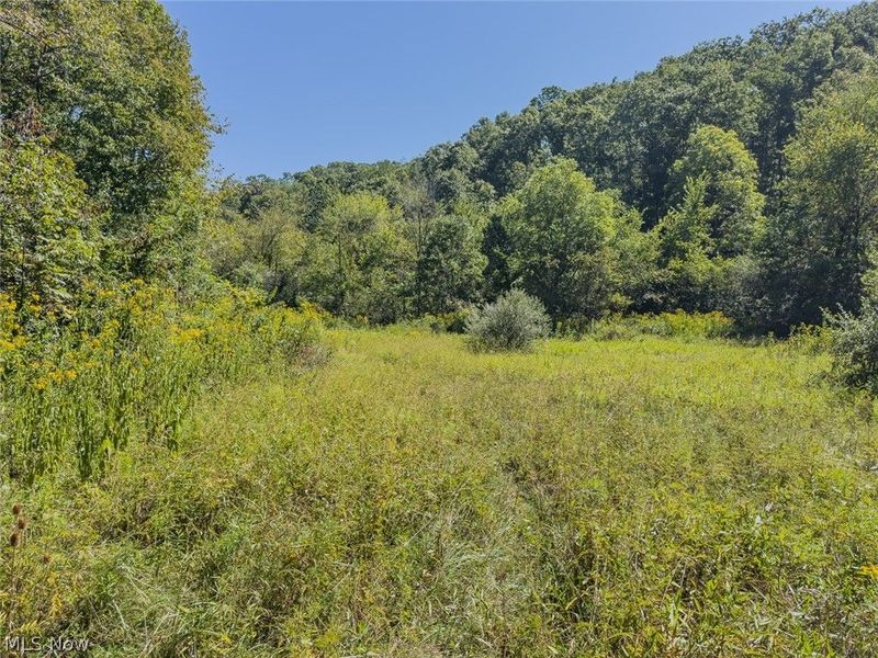 0 Brewer Road, Cadiz, OH 43907 Photo 11