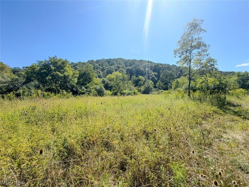 0 Brewer Road, Cadiz, OH 43907 Photo 12