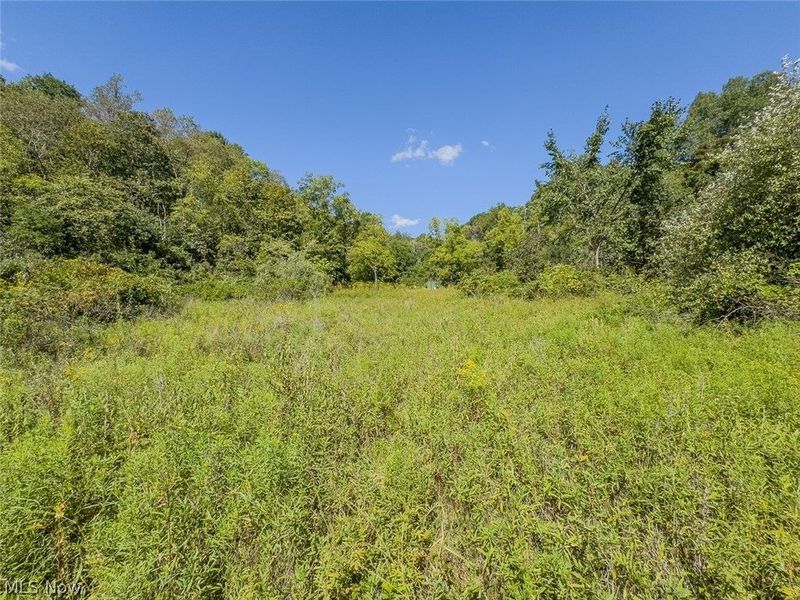 0 Brewer Road, Cadiz, OH 43907 Photo 13