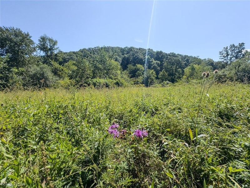 0 Brewer Road, Cadiz, OH 43907 Photo 15