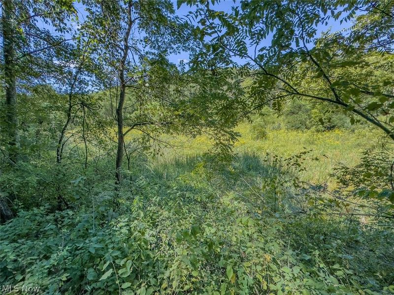 0 Brewer Road, Cadiz, OH 43907 Photo 16