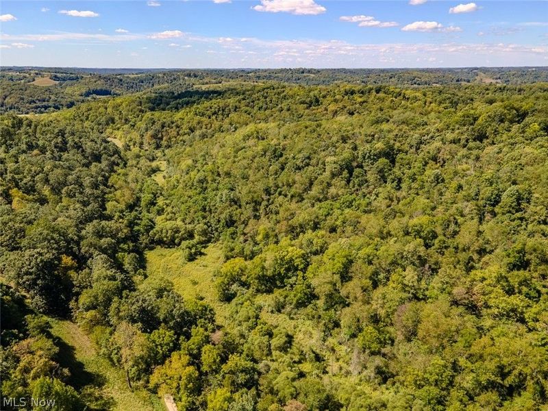 0 Brewer Road, Cadiz, OH 43907 Photo 17