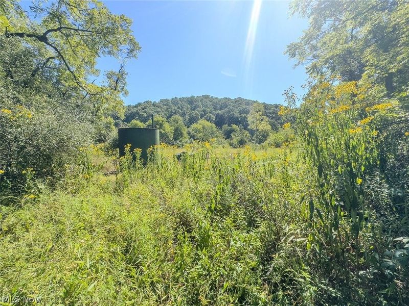 0 Brewer Road, Cadiz, OH 43907 Photo 18