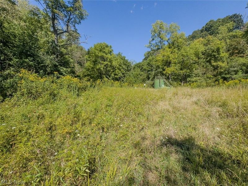 0 Brewer Road, Cadiz, OH 43907 Photo 19