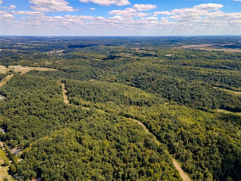 0 Brewer Road, Cadiz, OH 43907 Photo 21