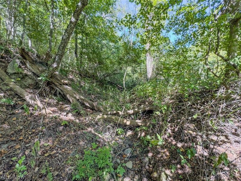 0 Brewer Road, Cadiz, OH 43907 Photo 23