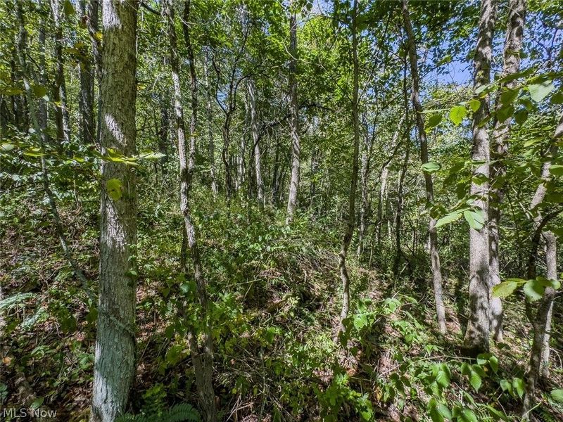 0 Brewer Road, Cadiz, OH 43907 Photo 24