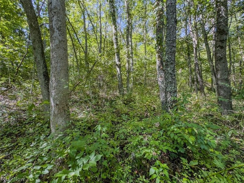 0 Brewer Road, Cadiz, OH 43907 Photo 26