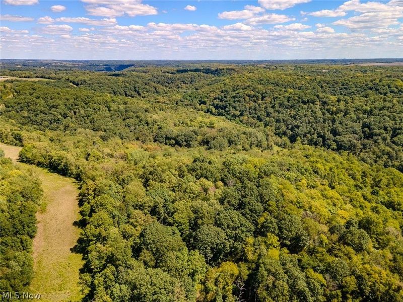 0 Brewer Road, Cadiz, OH 43907 Photo 28