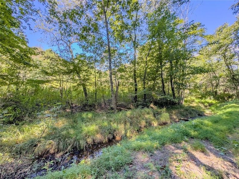 0 Brewer Road, Cadiz, OH 43907 Photo 29