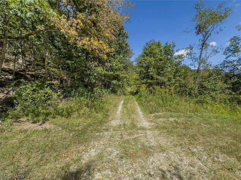 0 Brewer Road, Cadiz, OH 43907 Photo 3