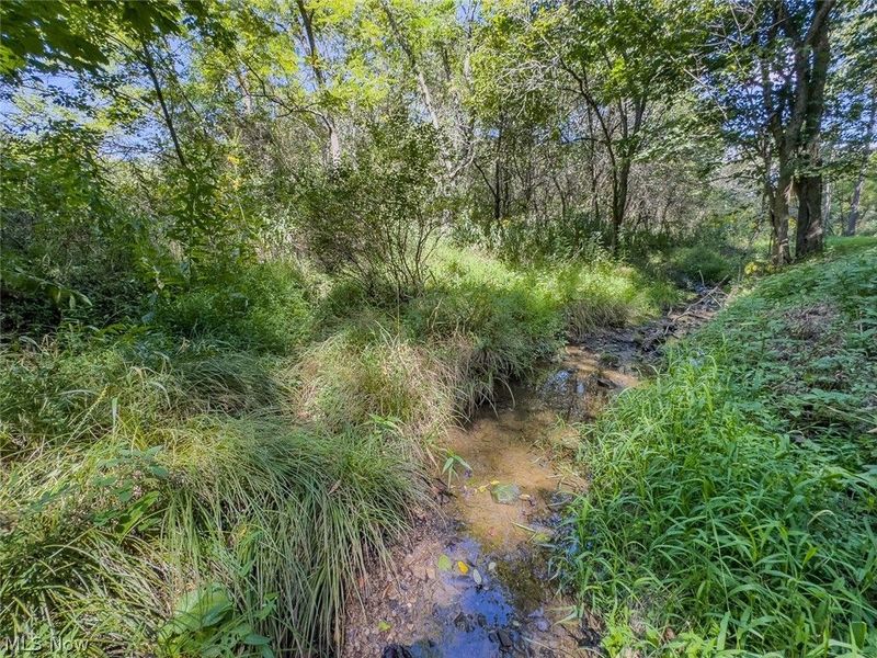 0 Brewer Road, Cadiz, OH 43907 Photo 30