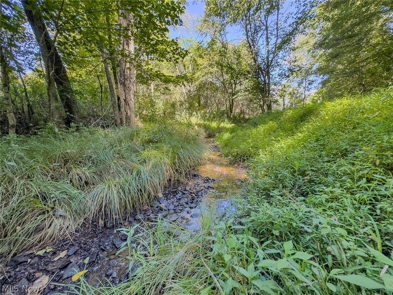 0 Brewer Road, Cadiz, OH 43907 Photo 31