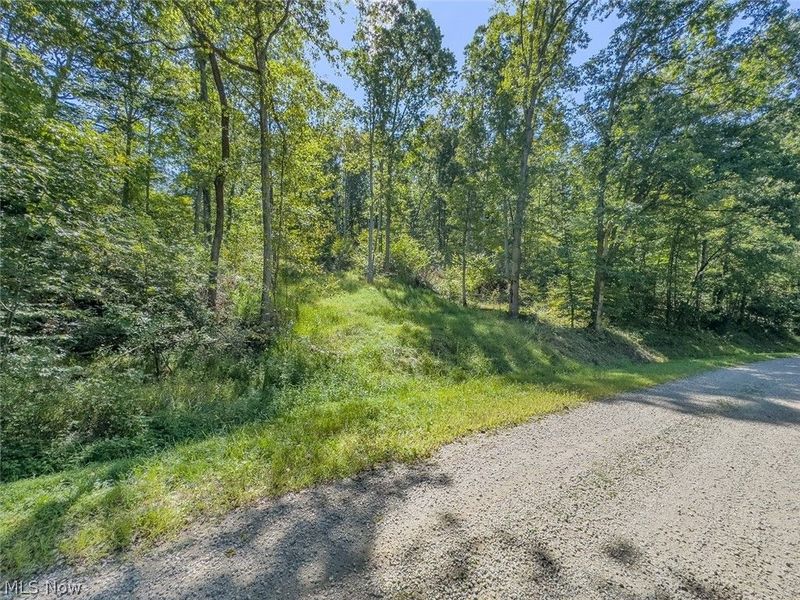 0 Brewer Road, Cadiz, OH 43907 Photo 32