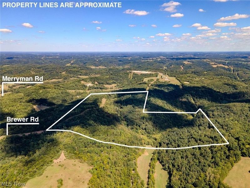 0 Brewer Road, Cadiz, OH 43907 Photo 36