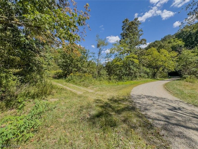 0 Brewer Road, Cadiz, OH 43907 Photo 5