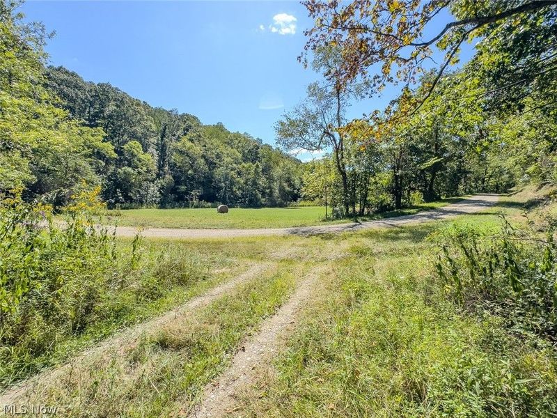 0 Brewer Road, Cadiz, OH 43907 Photo 6