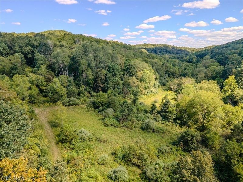 0 Brewer Road, Cadiz, OH 43907 Photo 9