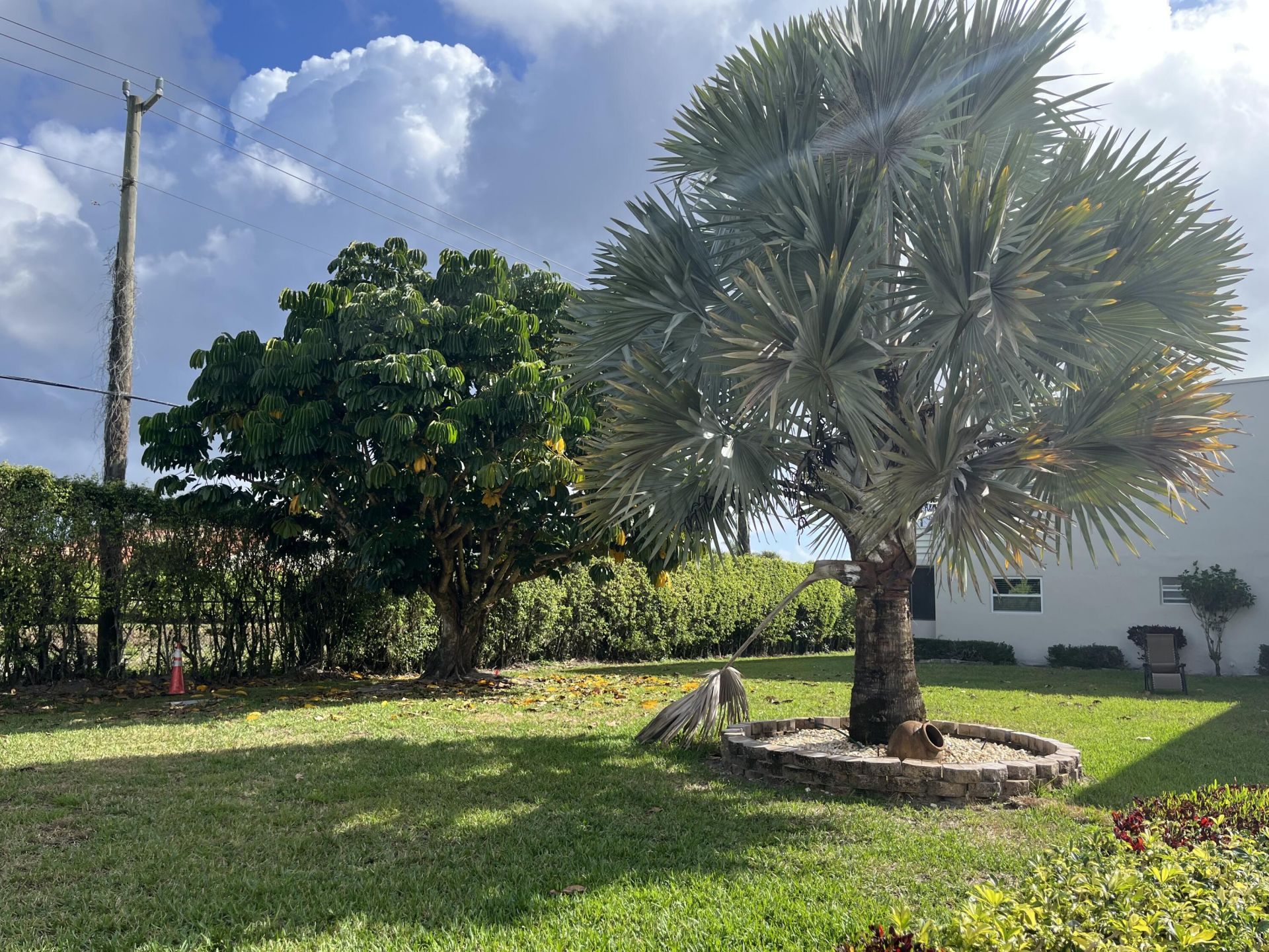 142 Normandy C, Delray Beach, FL 33484 Photo