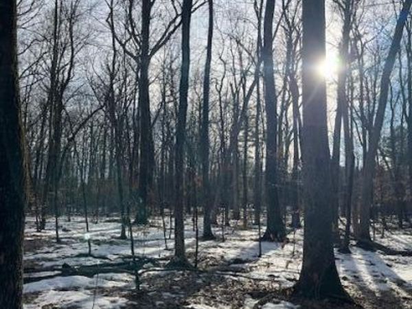 L21.2 Fern Hill Road, Ghent, NY 12075