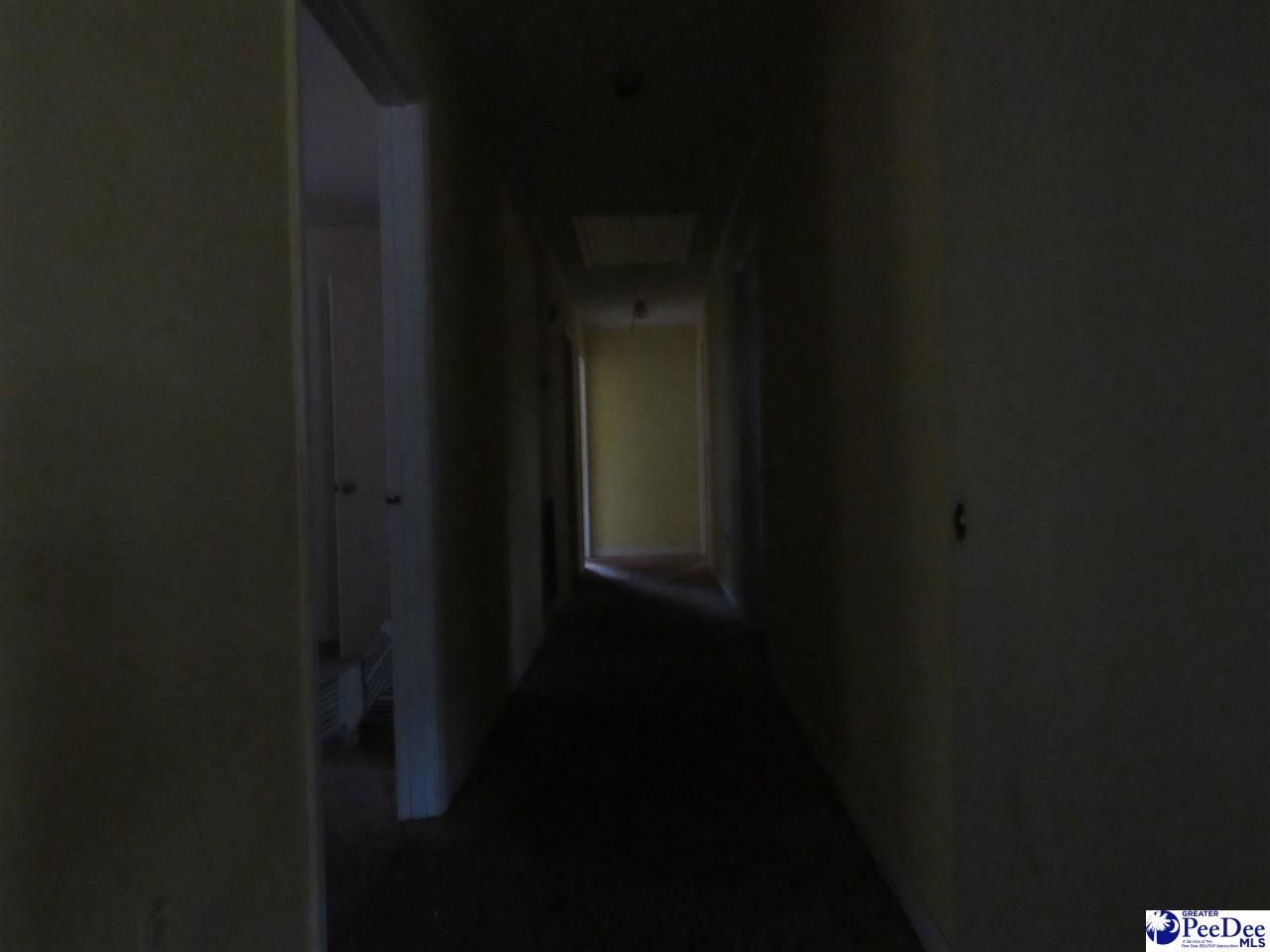 4204 Martin Luther King Jr. Hwy Photo 38