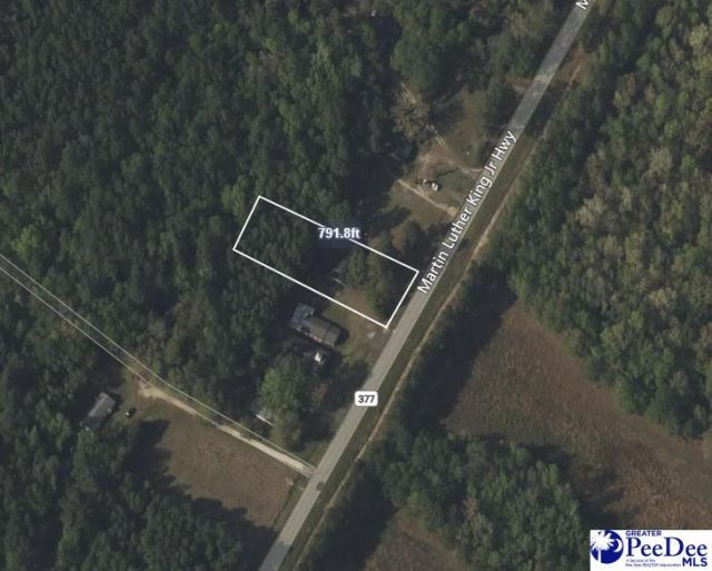 4204 Martin Luther King Jr. Highway Photo 14