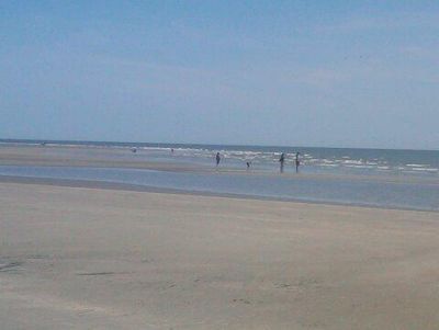 2730 Old Oak Walk Photo 47