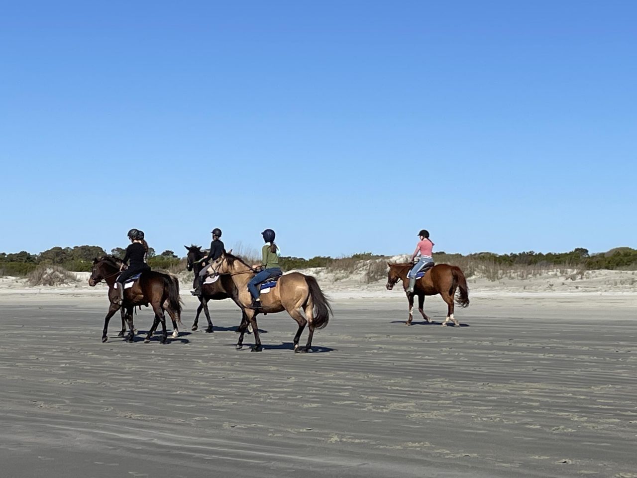 2730 Old Oak Walk Photo 49