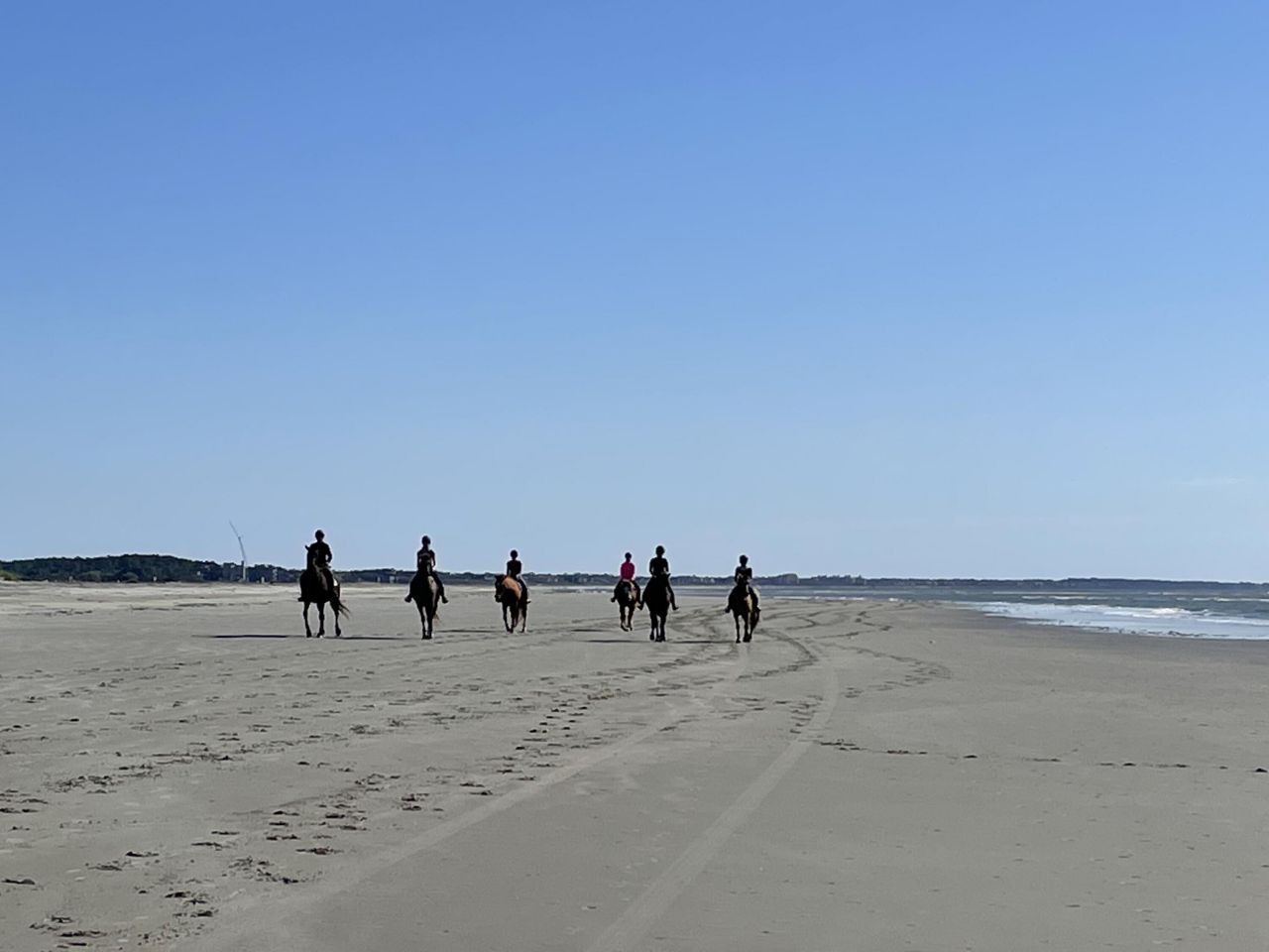 2730 Old Oak Walk Photo 50