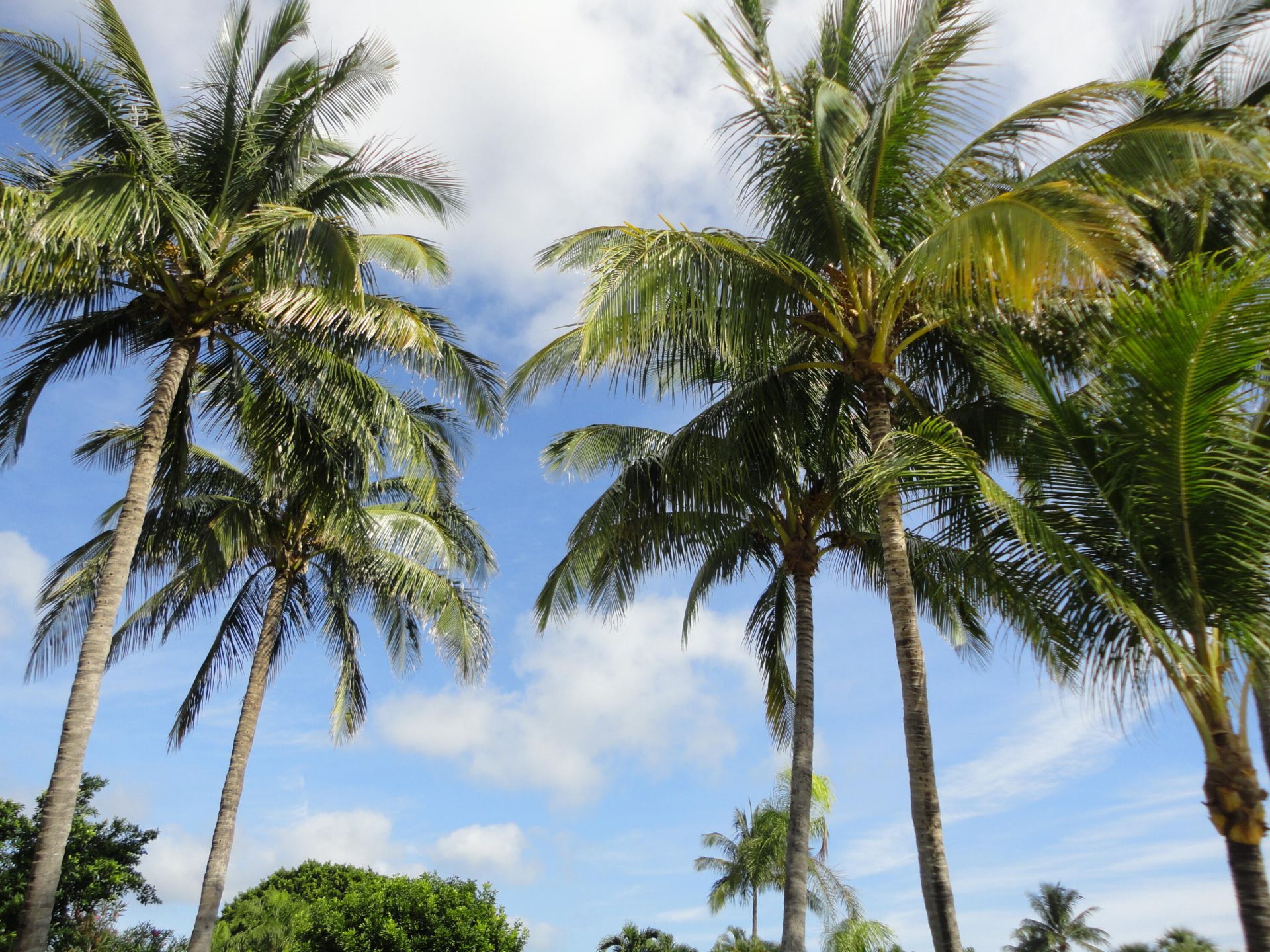 145 Beacon Lane, Jupiter Inlet Colony, FL 33469 Photo