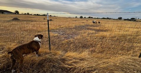 1551 Goose Creek Rd, Ione, CA 95640 Photo