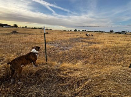 1551 Goose Creek Rd, Ione, CA 95640 Photo