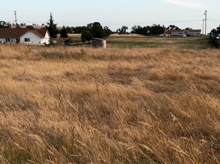 1551 Goose Creek Rd, Ione, CA 95640 Photo