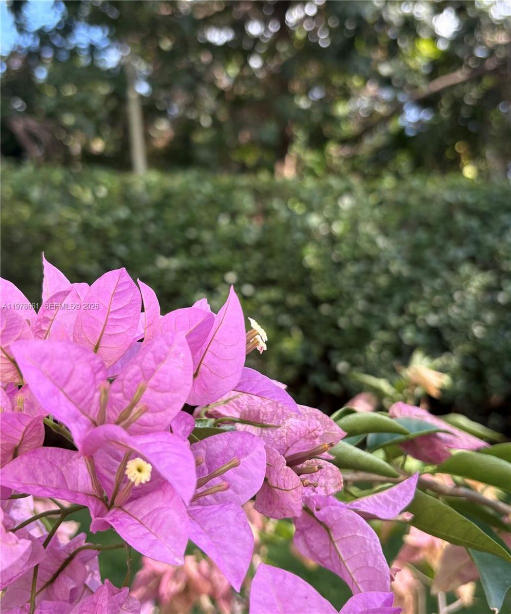 710 NE 72nd Ter, Miami, FL 33138 Photo