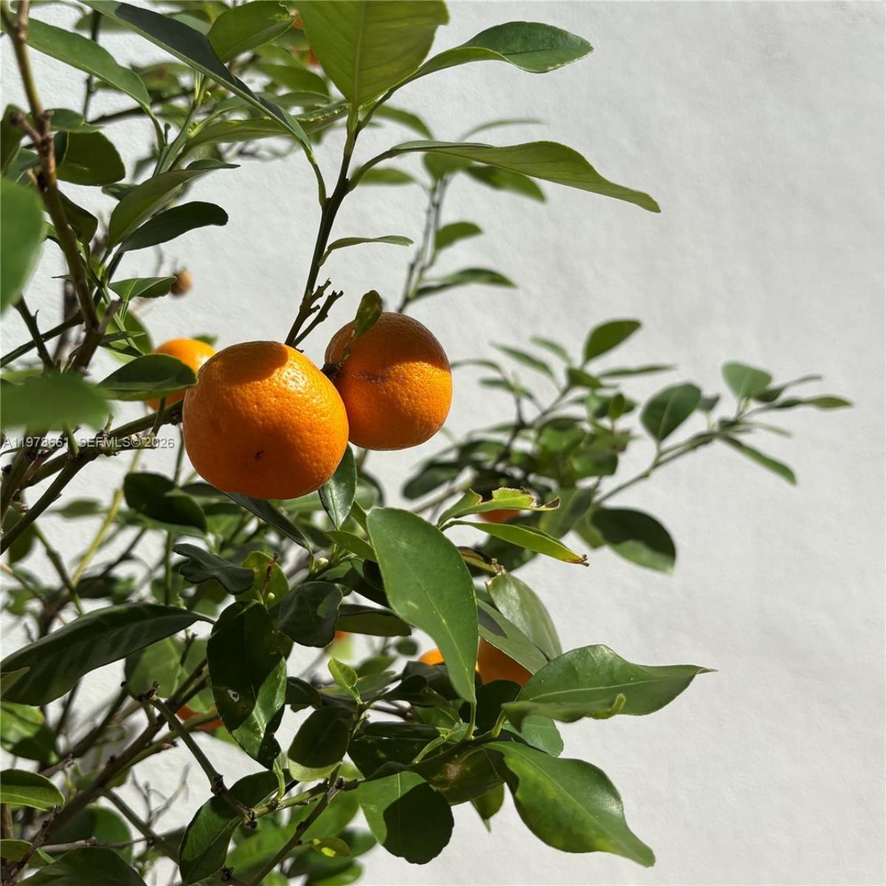 710 NE 72nd Ter, Miami, FL 33138 Photo